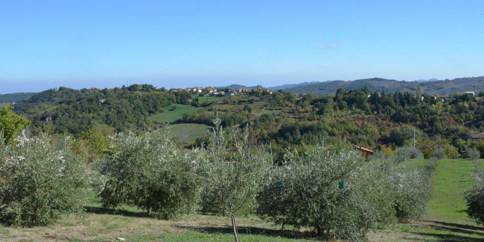 Panorama Gli Olivi di Gianpa foto di Gli Olivi di Gianpa