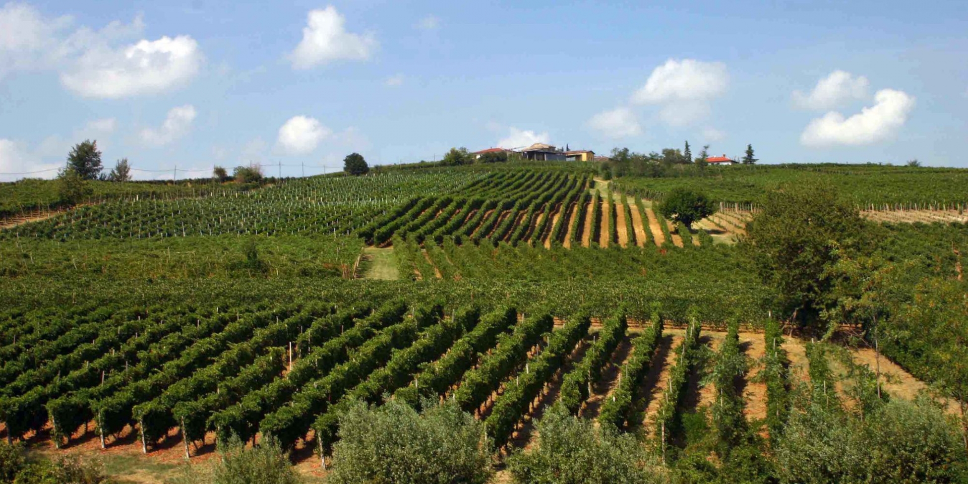 Paesaggio Ziano Piacentino foto di Associazione Sette Colli di Ziano